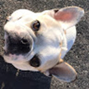 Meet your Posher, Ariel